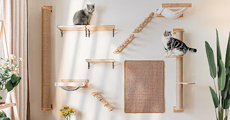 The Paw Seasons Cattery