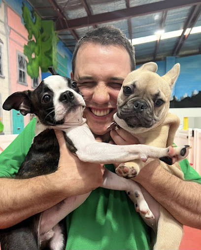 The Dog Dazzlers