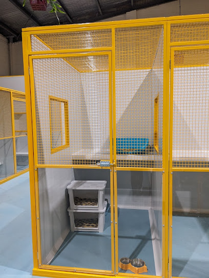 Meowhaus Cattery