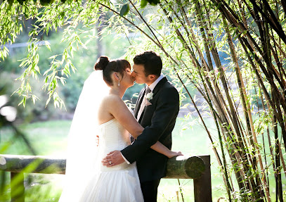 Budget Wedding Photography, Melbourne