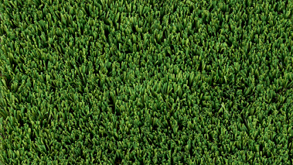 Perfect Turf Solutions | Artificial & Synthetic Grass Installer