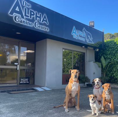 Alpha Dog Training