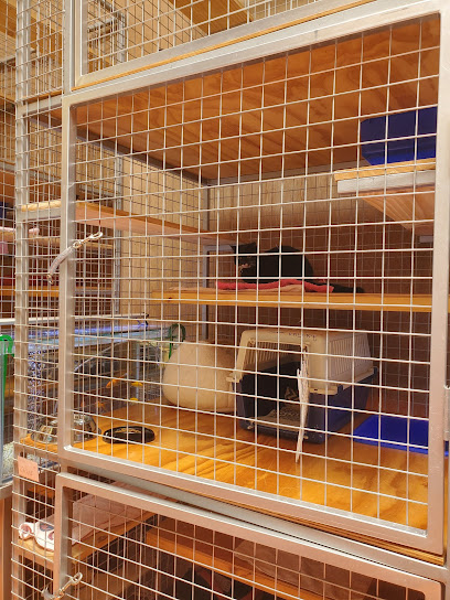 The Cattery Company