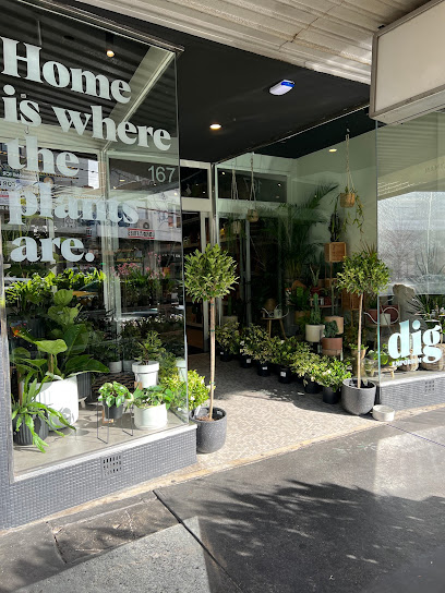 Dig Emporium