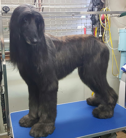 Diva Dogs Dog Grooming