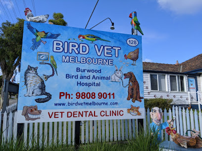 Bird Vet Melbourne