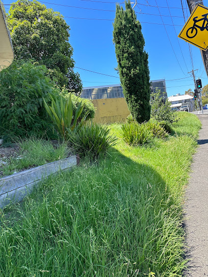 Grass & Leaves Lawn Care