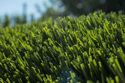 Buy Lawn Direct