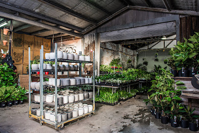 The Jungle Collective
