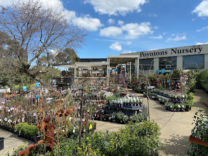 Poyntons Nursery, Melbourne