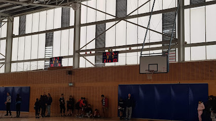 Box Hill High School