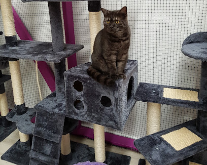4Paws Cattery