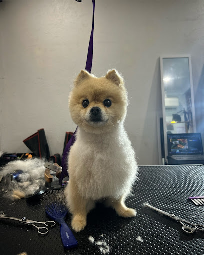 Circle of Fluff Dog Grooming