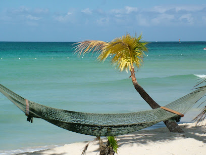 Hanging Hammocks: Hanging Chairs & Camping Hammocks, Melbourne