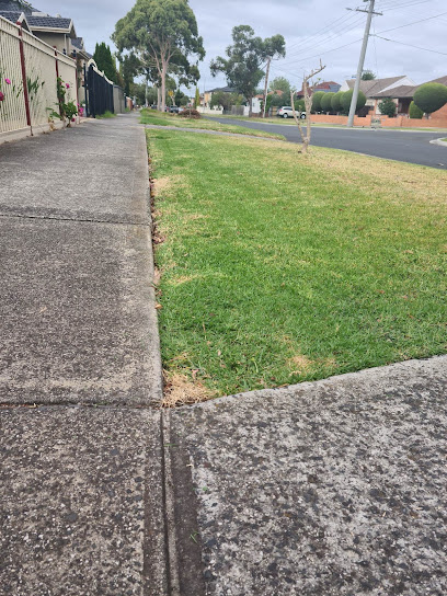Lawn Mowing Sunshine