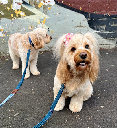 Pinup Pooch Dog Grooming
