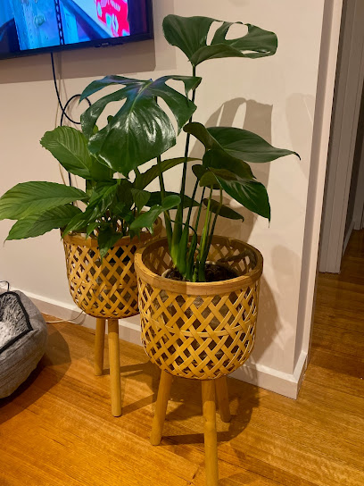 Hello Botanical