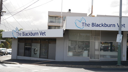 The Blackburn Vet, Melbourne