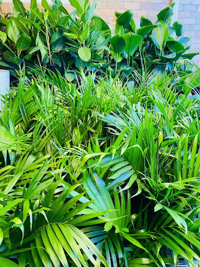 Plants For Love Melbourne