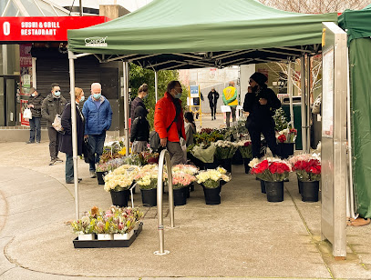Camberwell Sunday Market, Melbourne