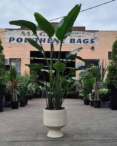 Botanicah