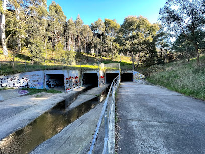Bridge Reserve