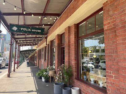 Folia House - Indoor Plants Nursery