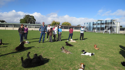 Command Dog Training School