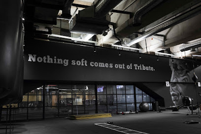Tribute Boxing Collins Square