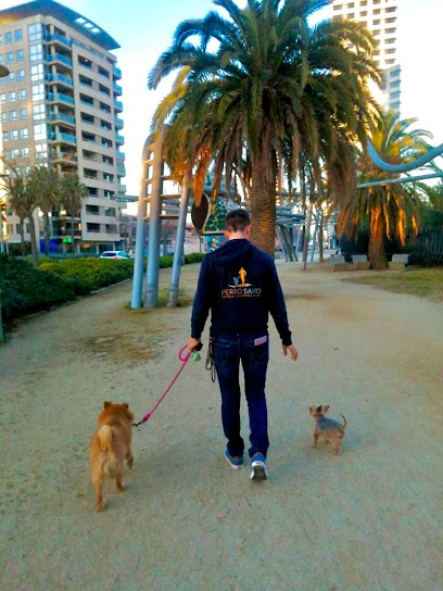 Perro Sano