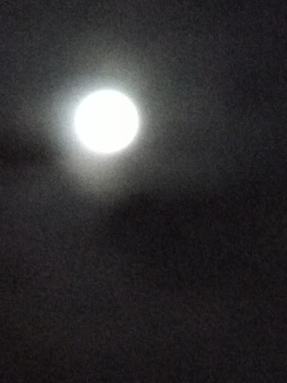 Archtic Moon
