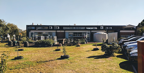 Albion Primary School