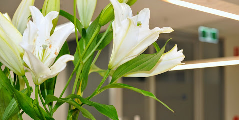 Melbourne City Dermatology
