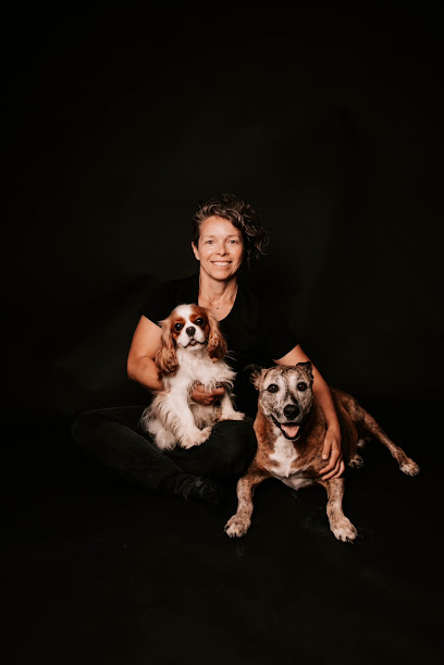 The Art of Dog Training