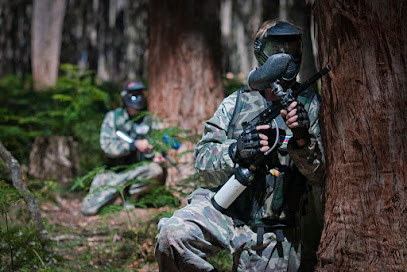Paintball Cockatoo