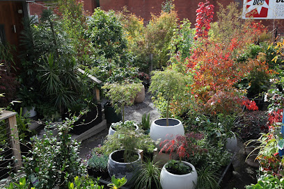 The Tree Shop