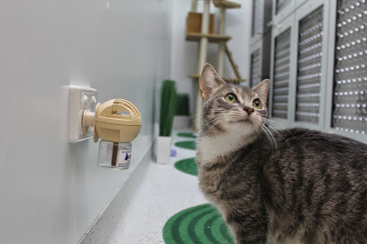 Northcote Animal Hospital (nOah)