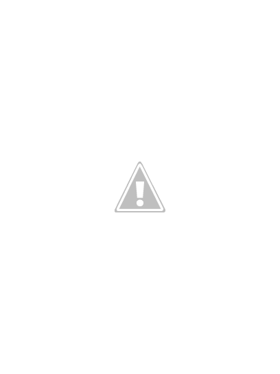 Matcha Yu Tea - Premium Japanese Green Tea