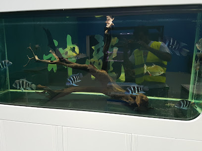 Sunnyside Aquarium
