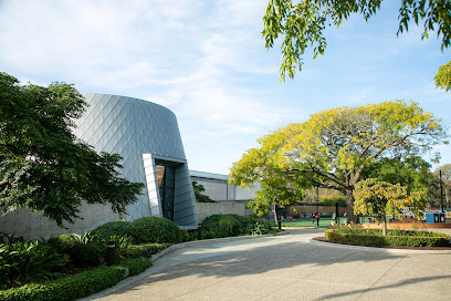 Camberwell Grammar School
