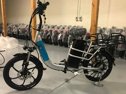 VINXS Ebikes