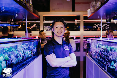 Starfire Aquatics Custom Built Aquariums Melbourne