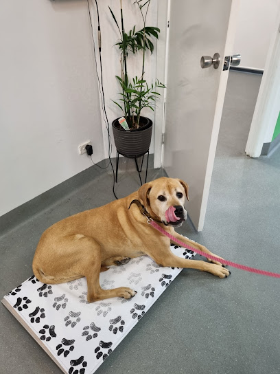 Progressive Vet Care