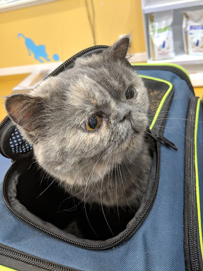 The Furry Family Veterinary Clinic