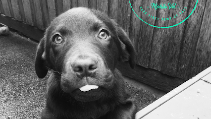First Paw Mobile Vet