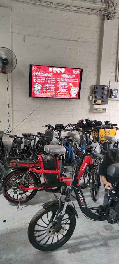 EBIKE100