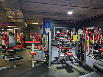 Next Level Fitness South Melbourne 24/7