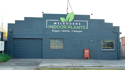 Melbourne Indoor Plants