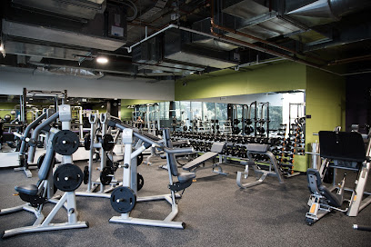 Anytime Fitness