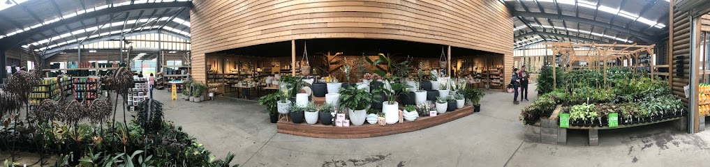 Diaco's Garden Nursery